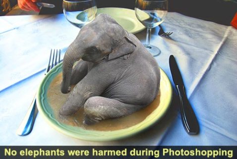eat_the_elephant